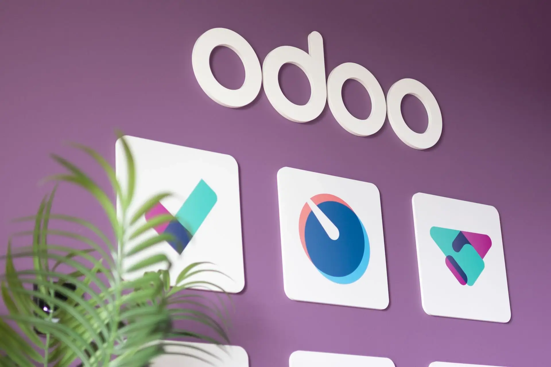 Odoo customization and custom module development services in Oman