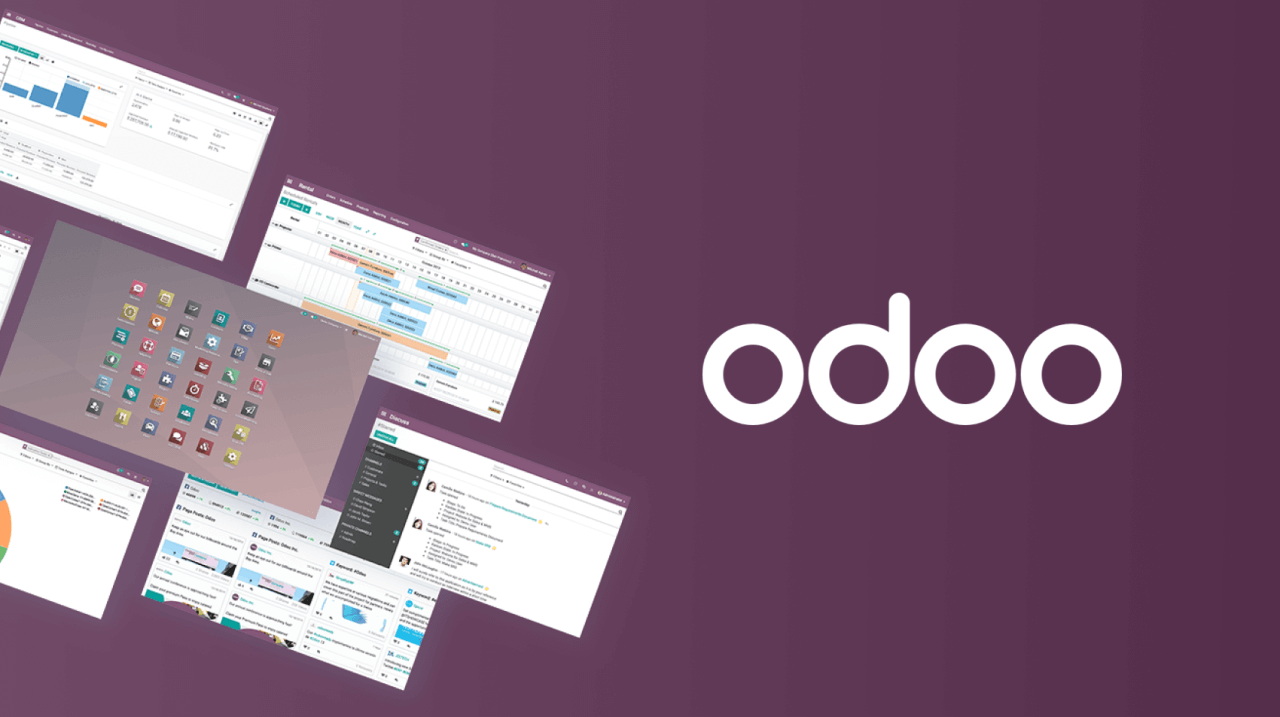 Odoo ERP implementation partner Oman - complete business management system